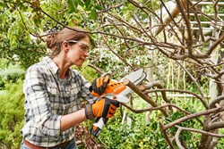 Slika Fleksibilan štitnik lanca
