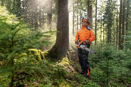 Slika za kategoriju Lanci i vodilice za STIHL motorne pile 