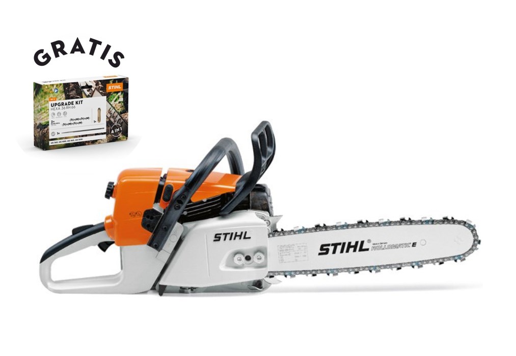 Slika MS 361