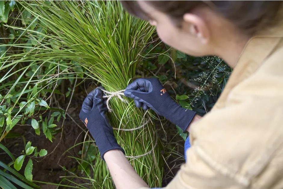 Spriječite štetu od mraza uz praktične savjete